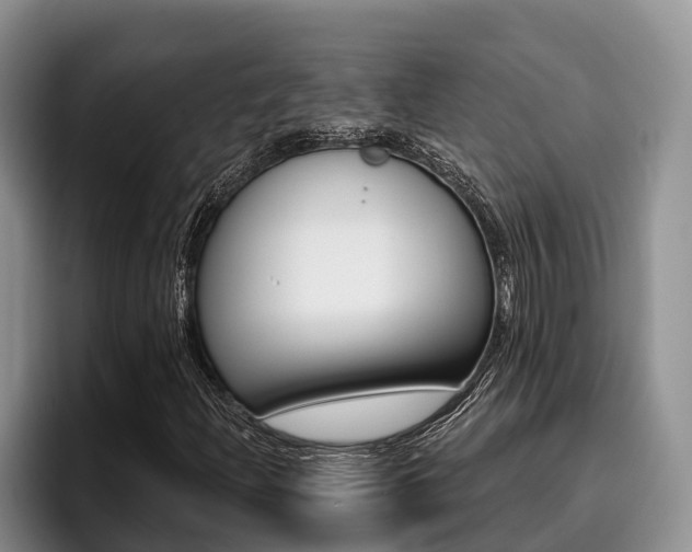 X0000096211204200801181002