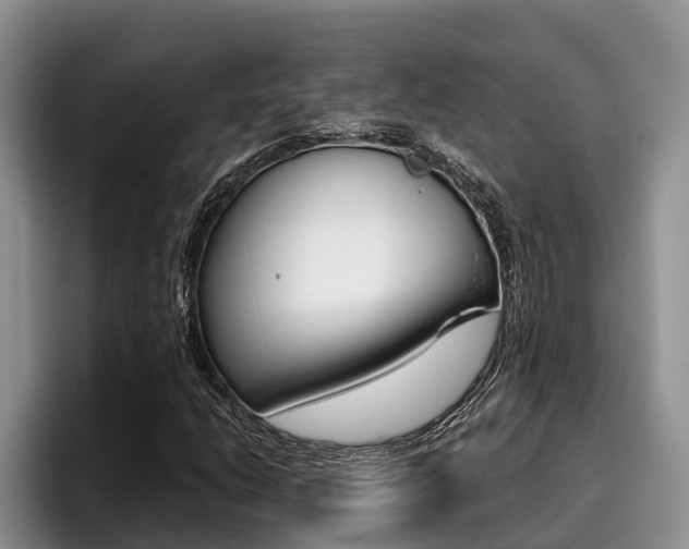 X0000096211206200801181002
