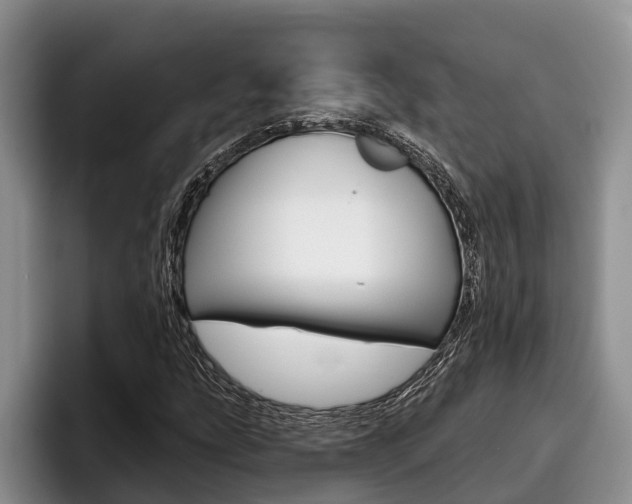 X0000096211207200801181002