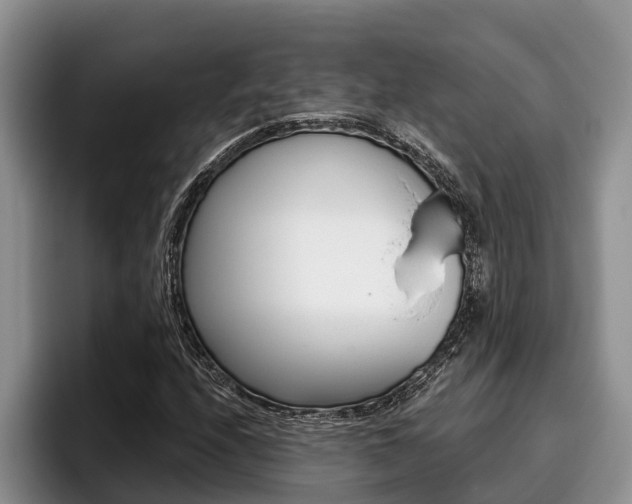 X0000096211208200801181002