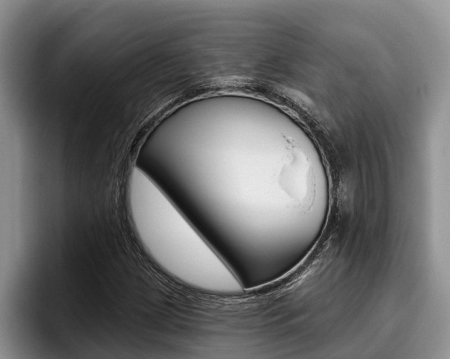 X0000096211209200801181002