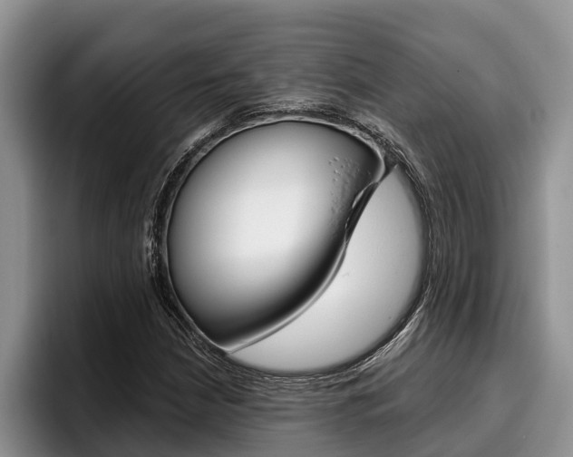 X0000096211210200801181002