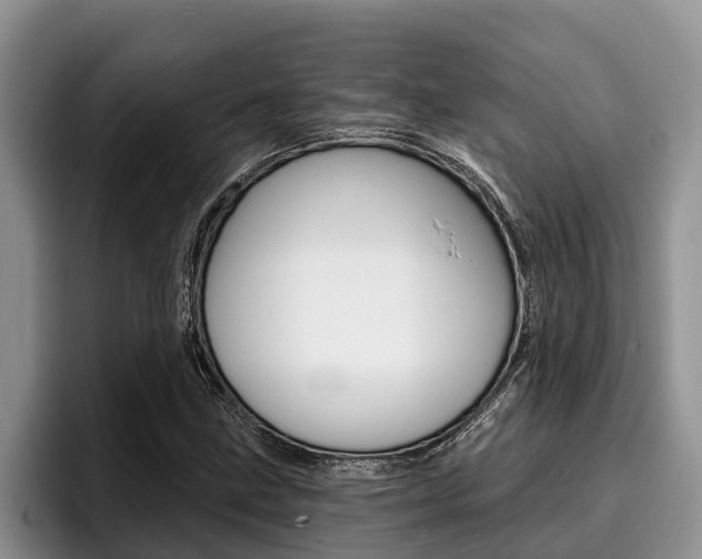 X0000096211211200801181002
