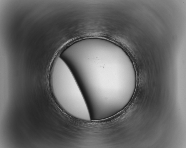X0000096211212200801181002
