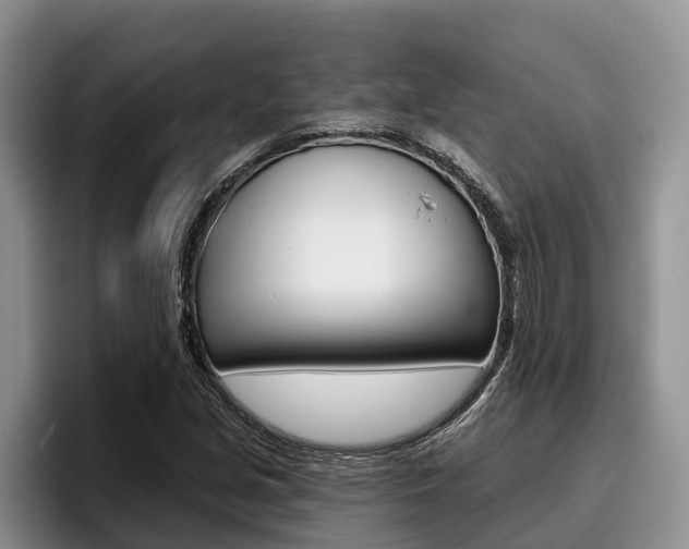 X0000096211213200801181002