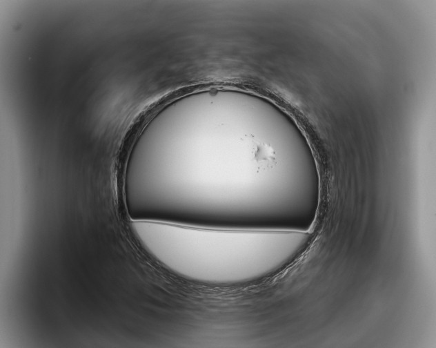 X0000096211214200801181002