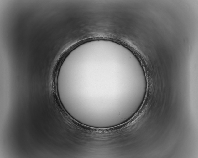 X0000096211215200801181002