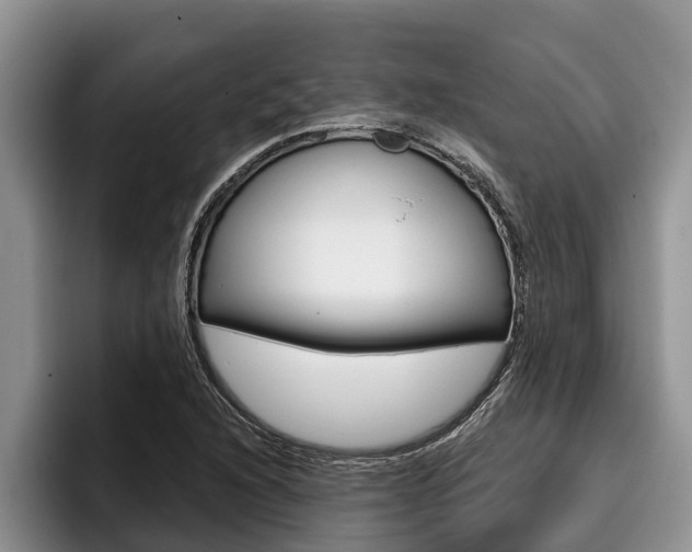 X0000096211216200801181002