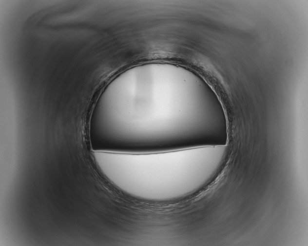 X0000096211217200801181002