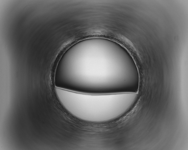 X0000096211218200801181002