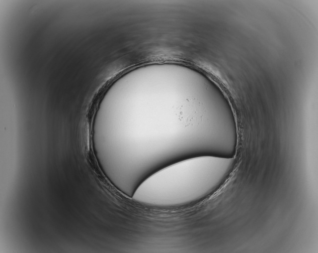 X0000096211219200801181002