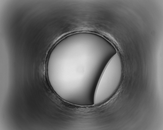X0000096211220200801181002