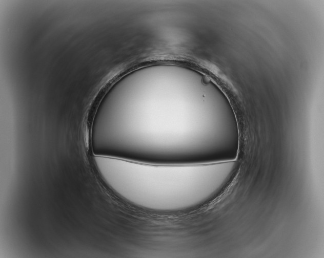 X0000096211221200801181002