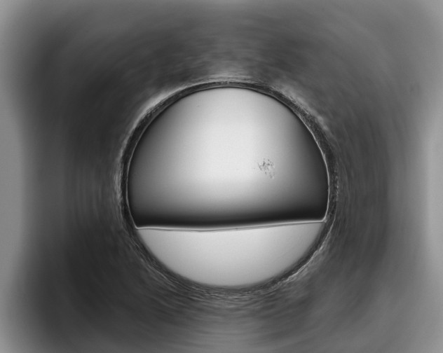 X0000096211222200801181002