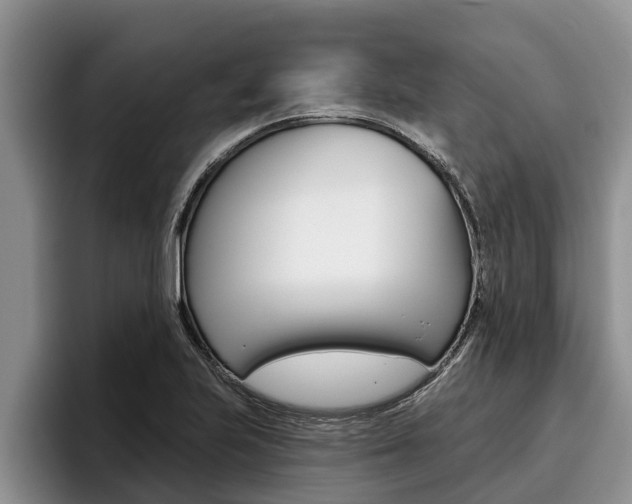 X0000096211223200801181002