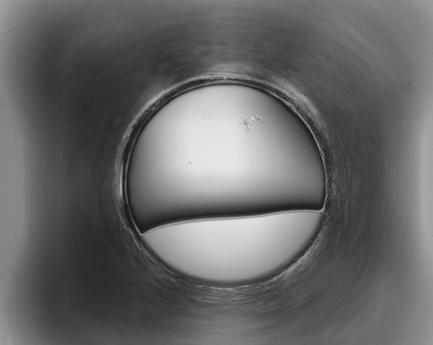 X0000096211224200801181002