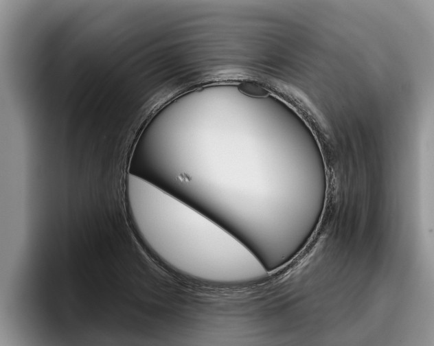 X0000096211225200801181003