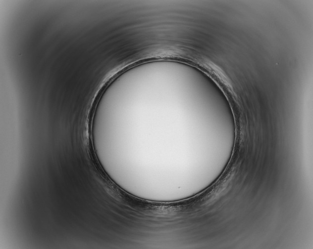 X0000096211226200801181003