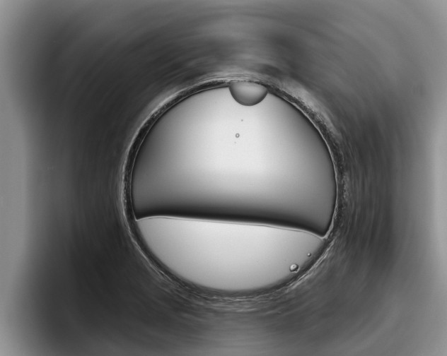 X0000096211229200801181003