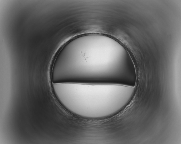 X0000096211230200801181003