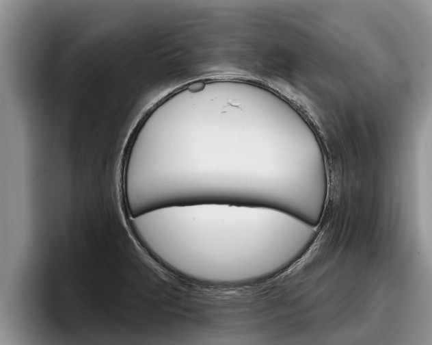 X0000096211231200801181003