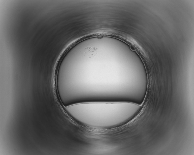 X0000096211232200801181003