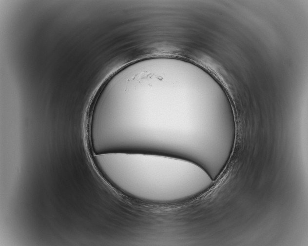 X0000096211235200801181003