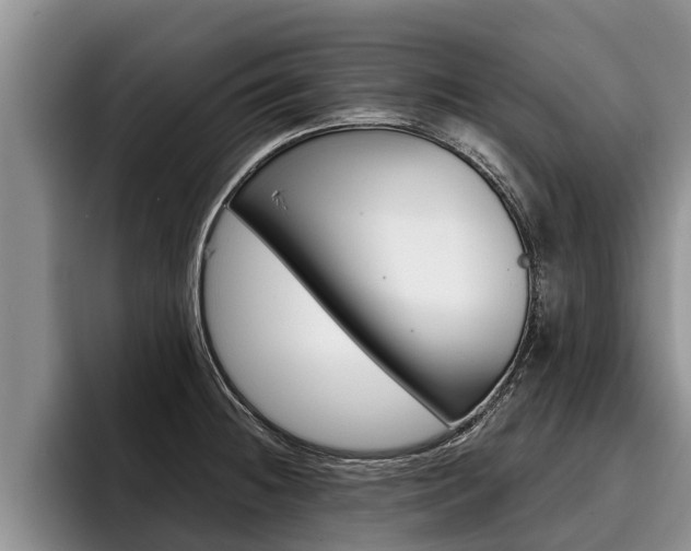 X0000096211236200801181003