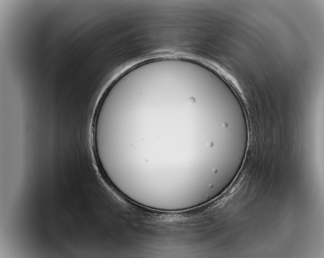 X0000096211239200801181003