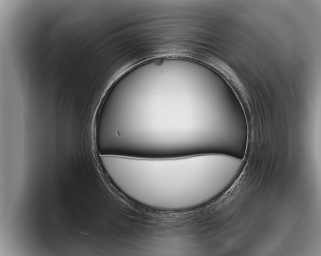 X0000096211242200801181003