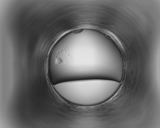 X0000096211244200801181003