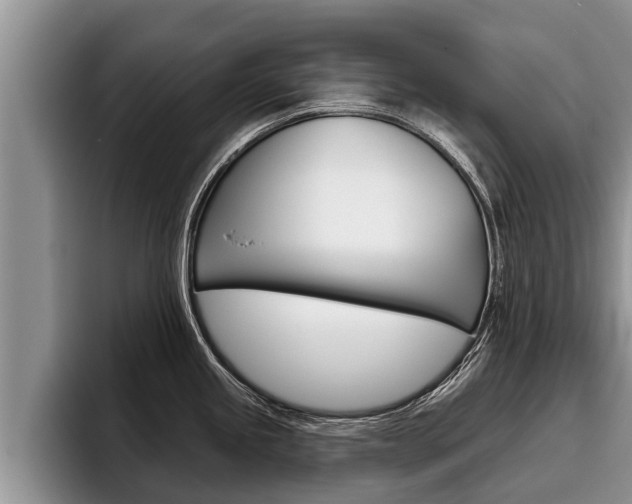 X0000096211245200801181003
