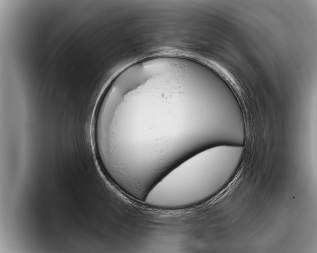 X0000096211247200801181003