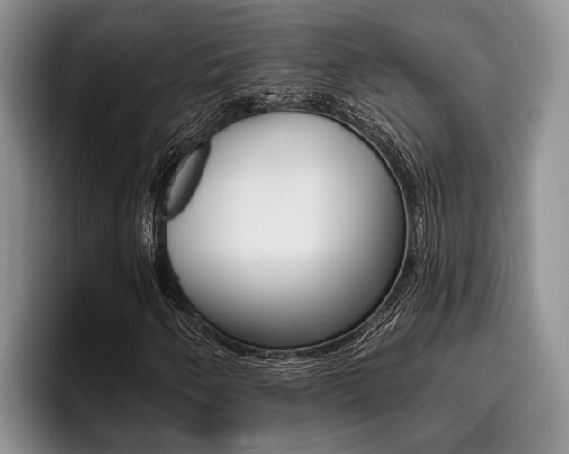 X0000096211250200801181002