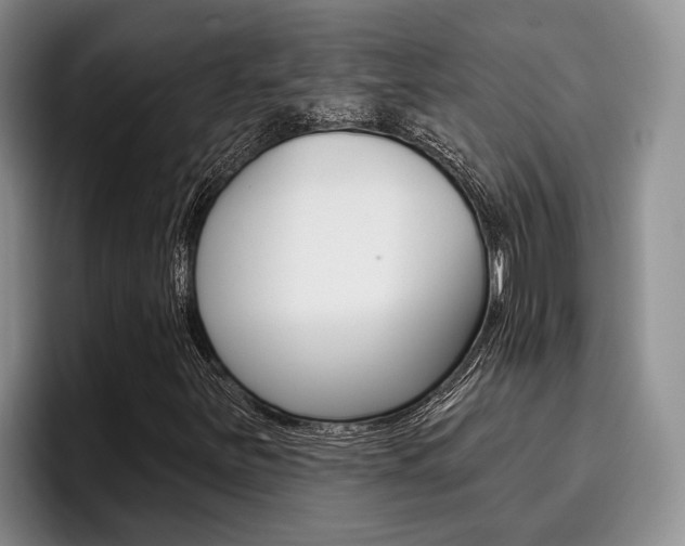 X0000096211251200801181002