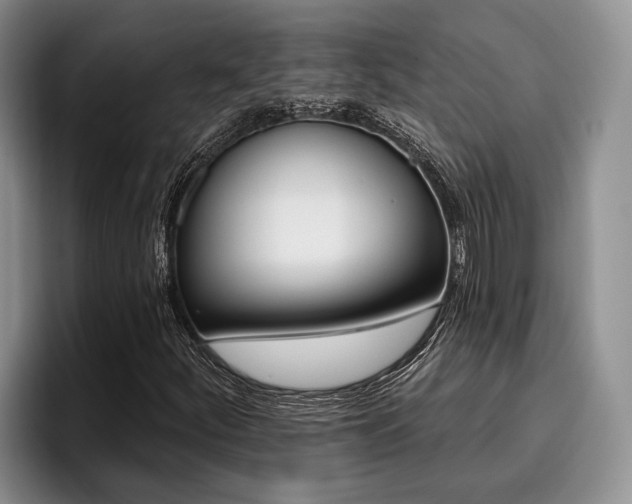 X0000096211252200801181002