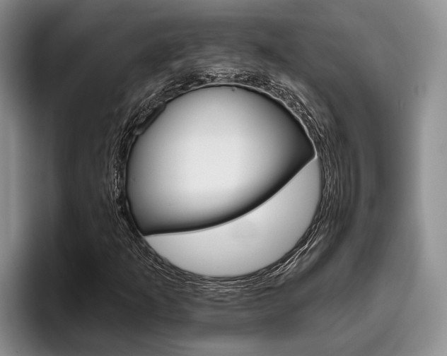 X0000096211253200801181002