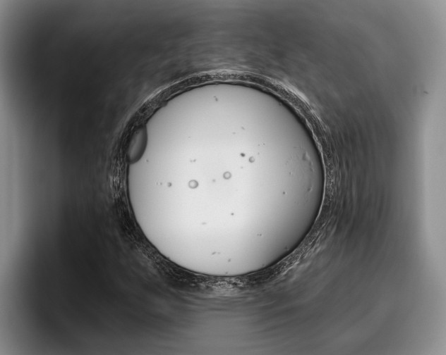 X0000096211255200801181002