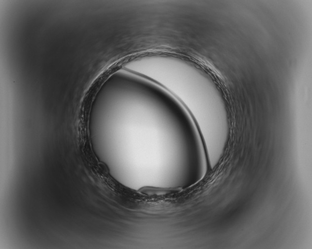 X0000096211256200801181002