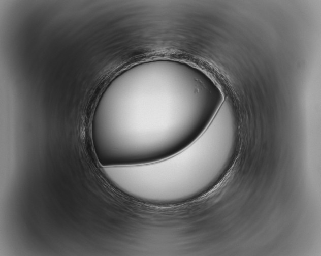 X0000096211257200801181002