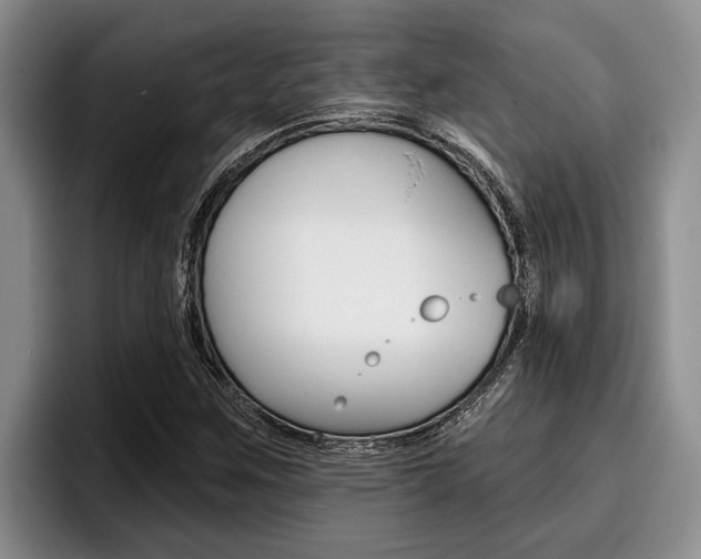 X0000096211259200801181002
