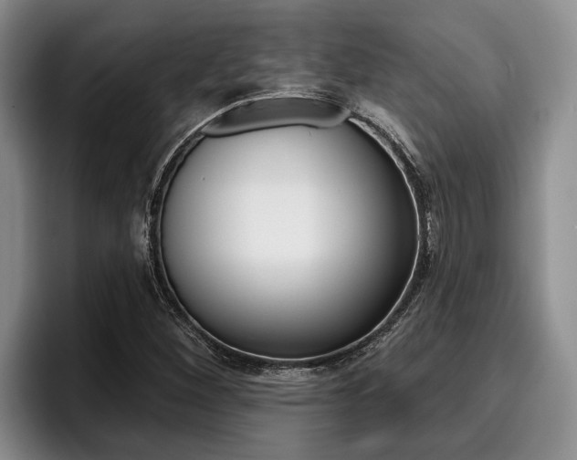 X0000096211260200801181002
