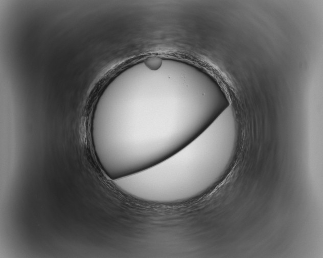 X0000096211262200801181002