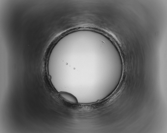 X0000096211263200801181002