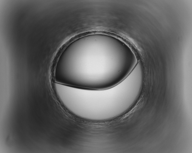 X0000096211264200801181002