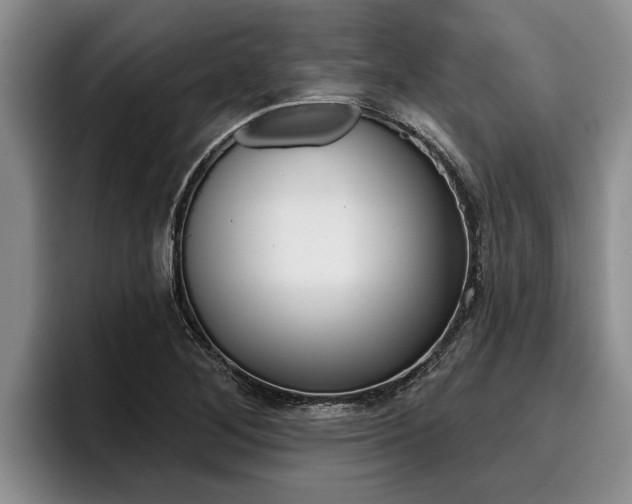 X0000096211268200801181002
