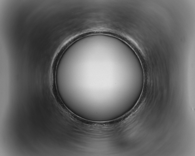 X0000096211270200801181002