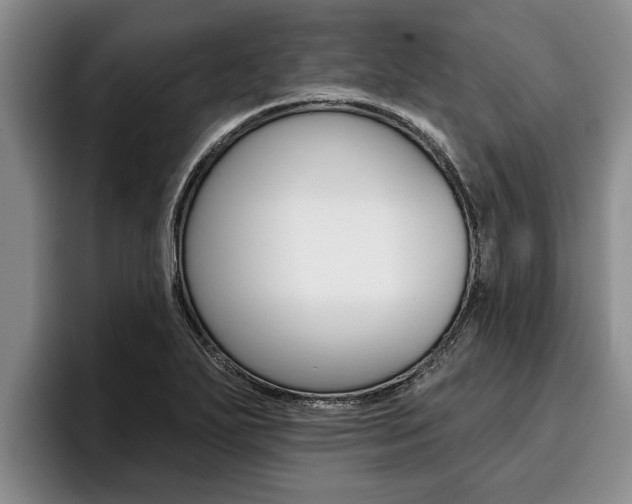 X0000096211271200801181002