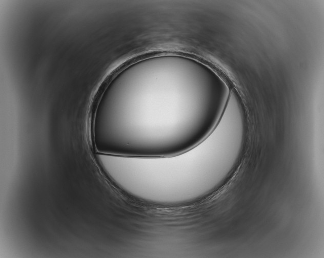 X0000096211272200801181002