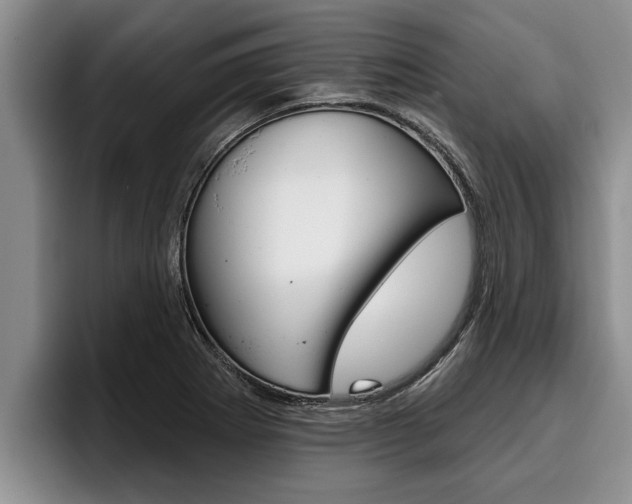 X0000096211273200801181002